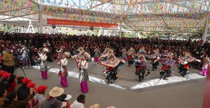 西藏发展特色产业推进乡村全面振兴